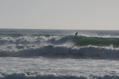 DSC_7060 (Large).JPG